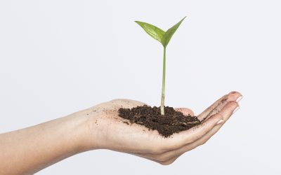 GREEN JOBS – XU HƯỚNG NGHỀ NGHIỆP MỚI